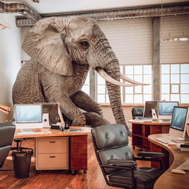 Legacy modernisation - Addressing the elephant in the room