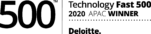 Deloitte Fast 500
