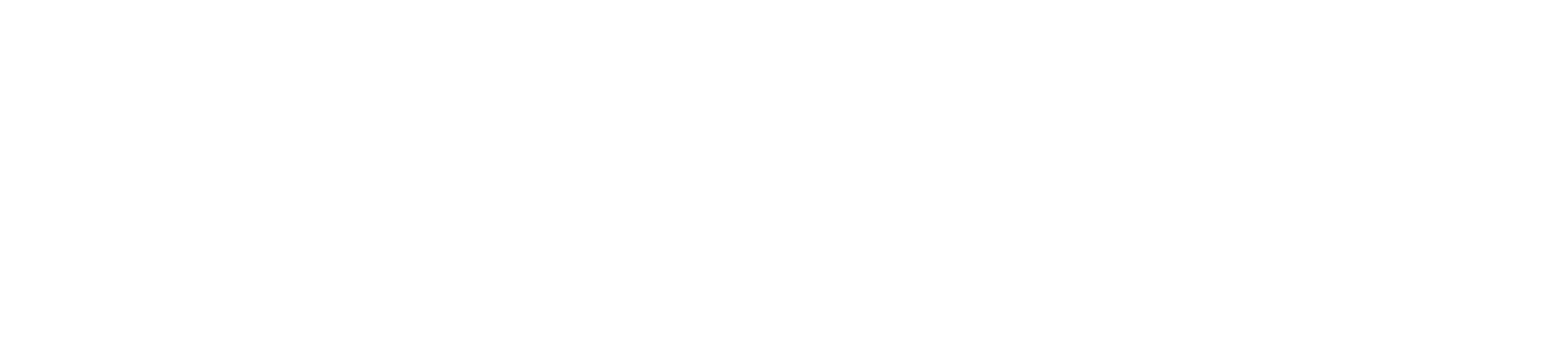 Deloitte Fast 500